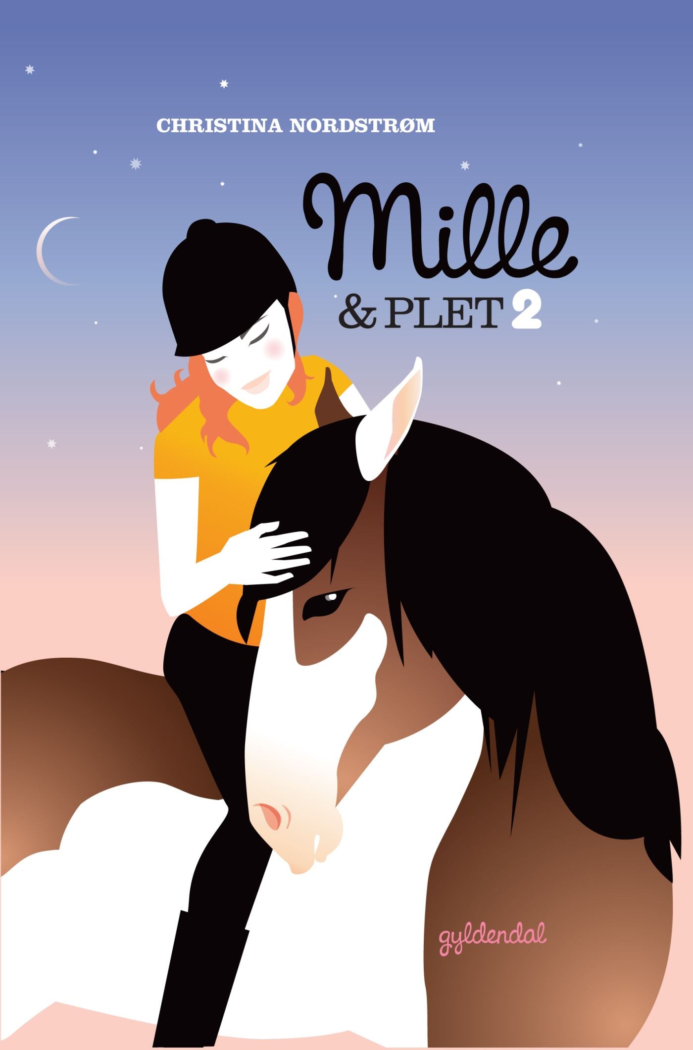 Forside billede